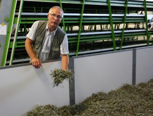 Der frische Tee trocknet nach der Ernte in einer großen Wanne. Der technische Vorstand Joachim Günther prüft das Ergebnis. Foto: Zänker