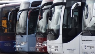 Fernbusse