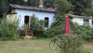 freiraum elbtal infocafe