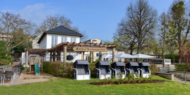 Rosengarten_Dresden_