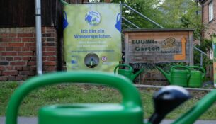 Nachhaltige Bewässerung der Bäume in der Stadt – Gießkannenheld:innen Dresden